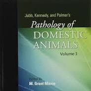 JUBB, KENNEDY & PALMER'S PATHOLOGY OF DOMESTIC ANIMALS: VOLUME 3