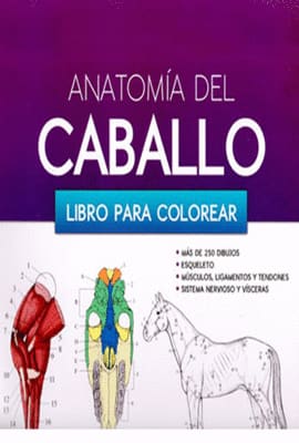 ANATOMIA DEL CABALLO. Libro para colorear