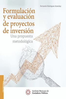 FORMULACION Y EVALUACION DE PROYECTOS DE INVERSION. Una propuesta metodologica