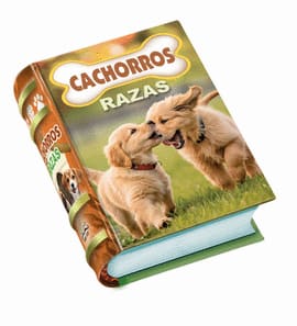 CACHORROS RAZAS