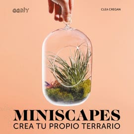 MINISCAPES. Crea tu propio terrario