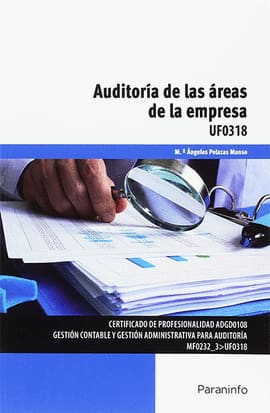 AUDITORÍA DE LAS ÁREAS DE LA EMPRESA
