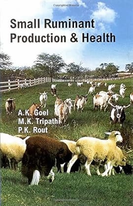 SMALL RUMINANT PRODUCTION & HEALTH
