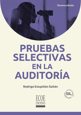 PRUEBAS SELECTIVAS EN LA AUDITORIA