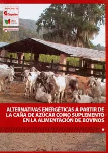 ALTERNATIVAS ENERGETICAS A PARTIR DE LA CAÑA DE AZUCAR COMO SUPLEMENTO EN LA ALIMENTACION DE BOVINOS